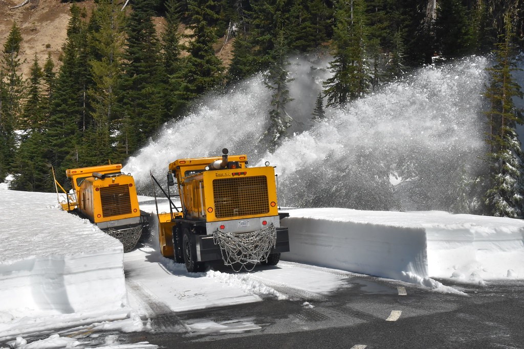 What is the need for professional snow removal services?