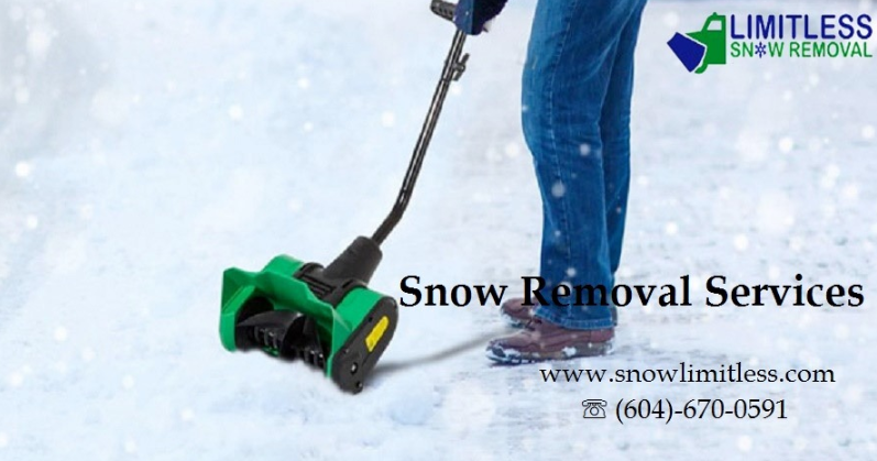 Reliable Removal Solutions
