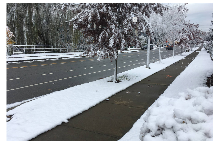 Trustworthy Snow Removal Service Providers
