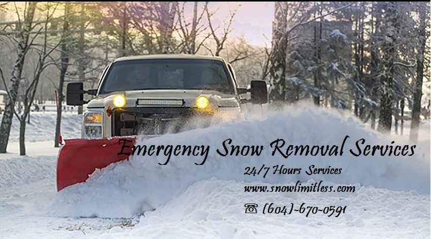 Emergency Snow Removal Services