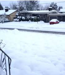 Snow removal Service